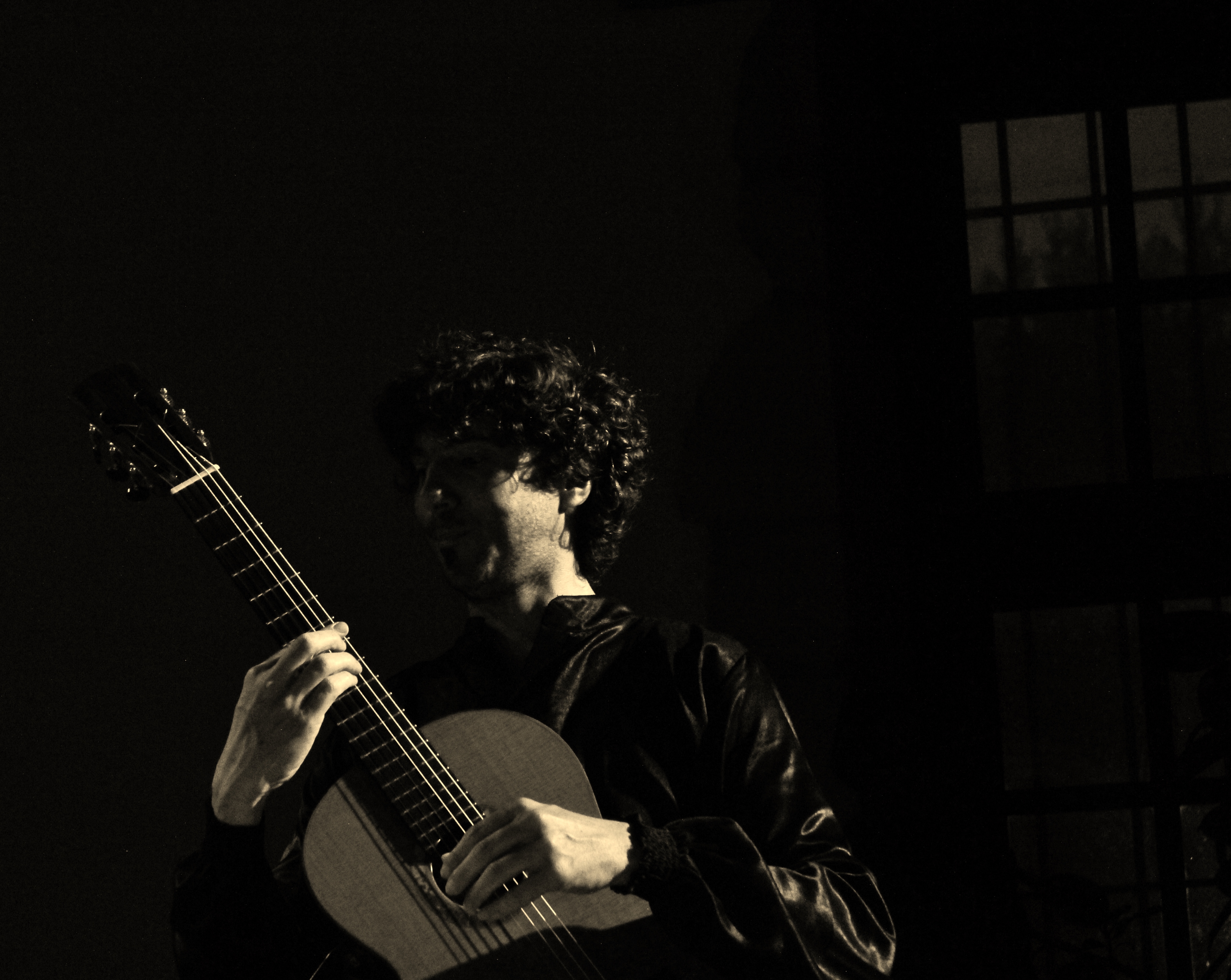 Olivier Pelmoine - guitare